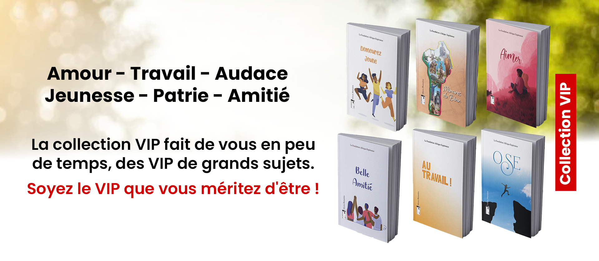 Les Éditions IdS